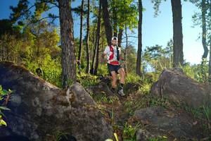 BIB: 
                            <button type="button" onclick="openModal(18915223)" class="btn btn-primary btn-sm float-right btn-popup" data-toggle="modal" data-target=".modal-high-quality">
                        <i class="fas fa-shopping-cart"></i> Add to Cart
                    </button>
                                            <button type="button" onclick="isThisMe(18915223, true)" class="btn btn-success btn-sm float-right btn-popup btn-isme hidden" data-toggle="tooltip" data-placement="bottom" title="นี่คือรูปของคุณใช่ไหม คลิกที่นี่เพื่อเอาเข้าอัลบั้ม">
                        <i class="fas fa-plus"></i> Add to album
                    </button>
                    <button type="button" onclick="isThisMe(18915223, false)" class="btn btn-warning btn-sm float-right btn-popup btn-isnotme hidden">
                        <i class="fas fa-ban"></i> Remove from album
                    </button>